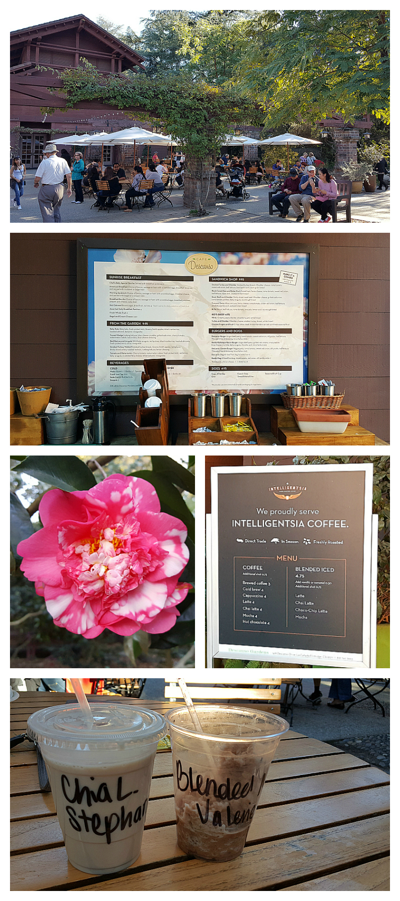 Descanso Cafe at Descanso Gardens - Pasadena, California