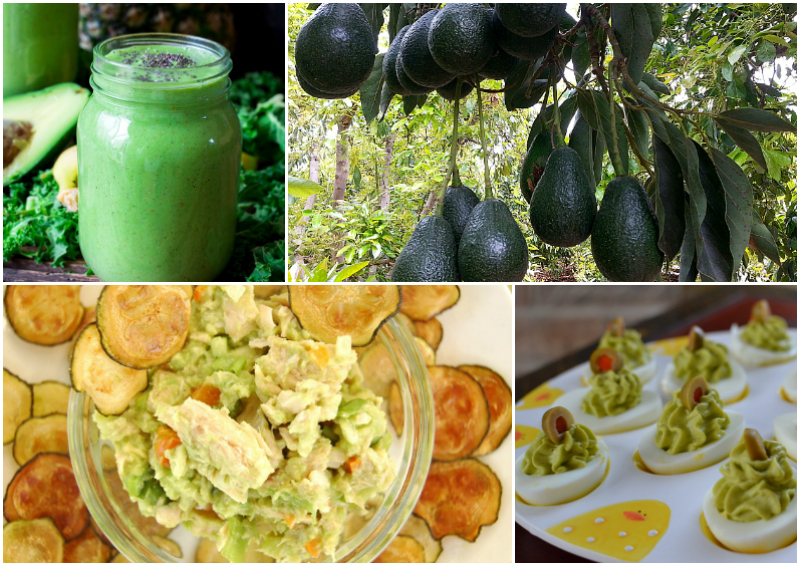 Avocado for Breakfast, Lunch, Dinner and Dessert - 50 Tasty Recipes