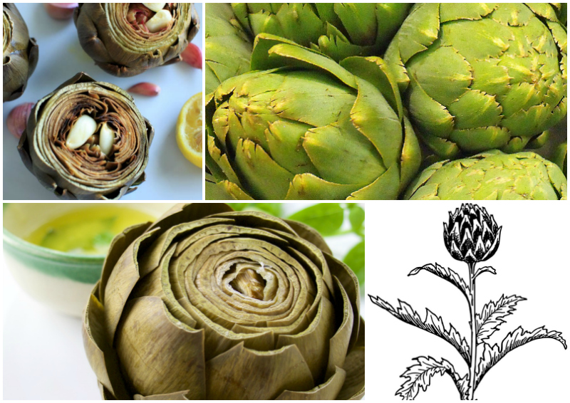 How Do I Cook With Artichokes? 27 Tasty Recipes