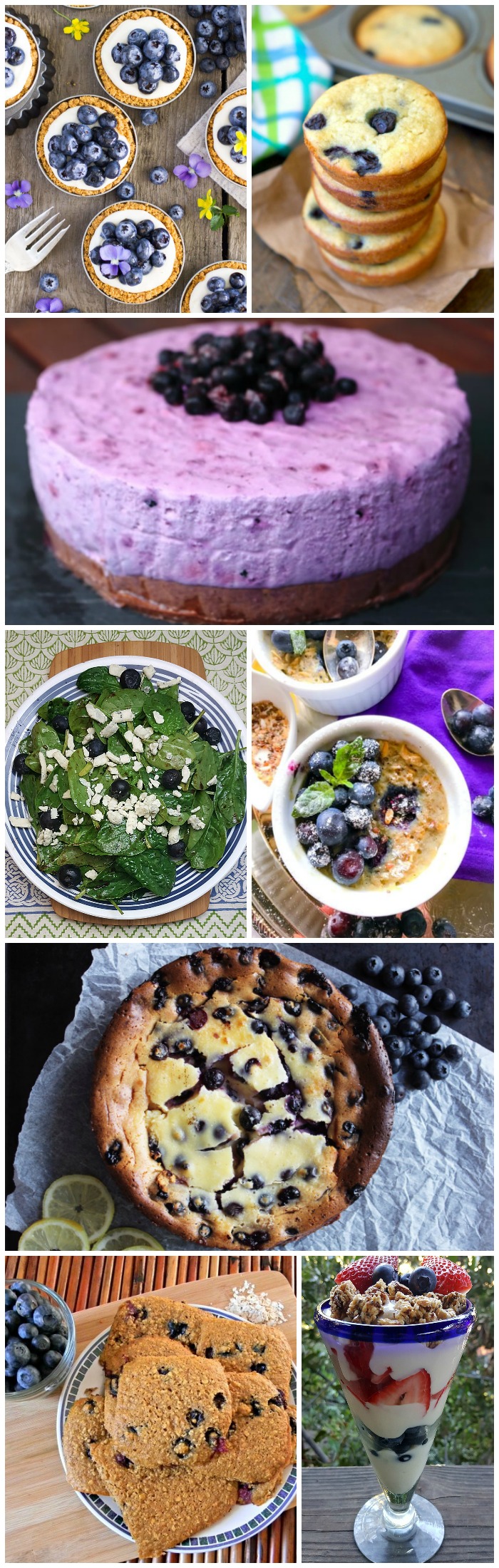 Blueberry Recipes Round Up