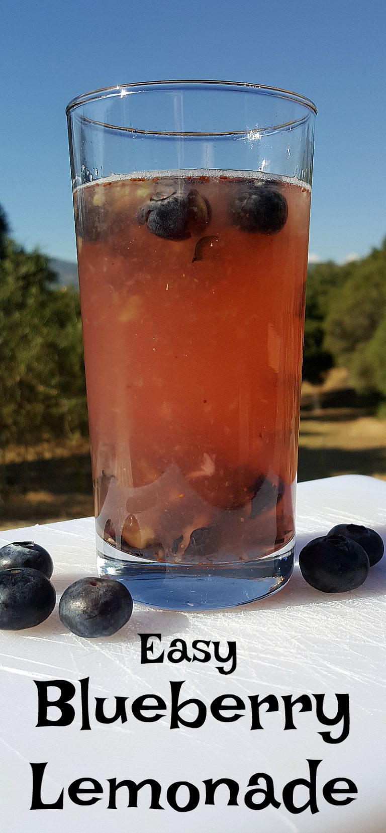 Easy Blueberry Lemonade Recipe Mama Likes To Cook