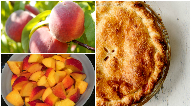 20 Awesome Peach Dessert Recipes