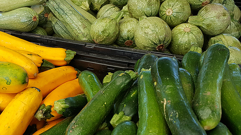 Summer Squash