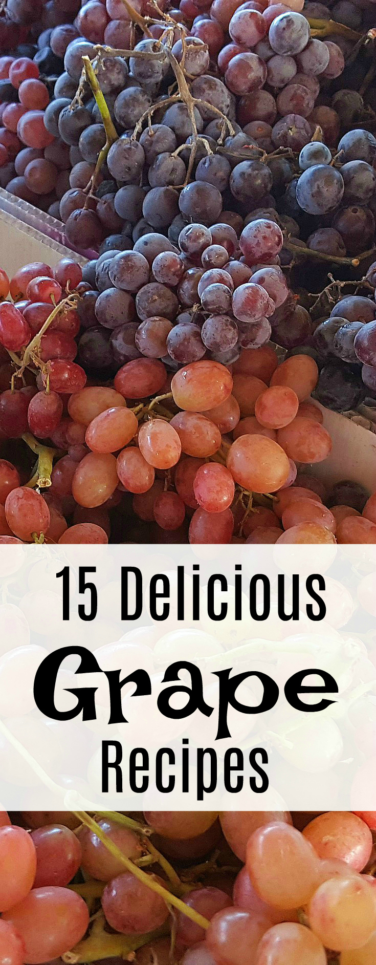 15 Delicious Grape Recipes - Mama Likes To Cook