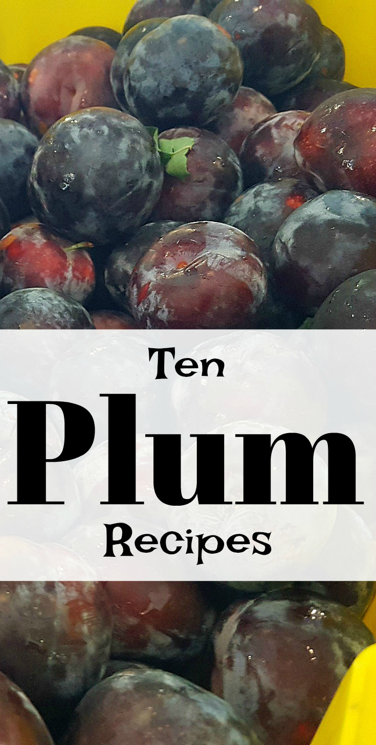 10 Fresh, Seasonal Plum Recipes