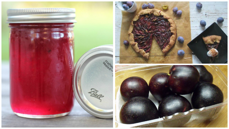 10 Recipes for Fresh, Seasonal Plums