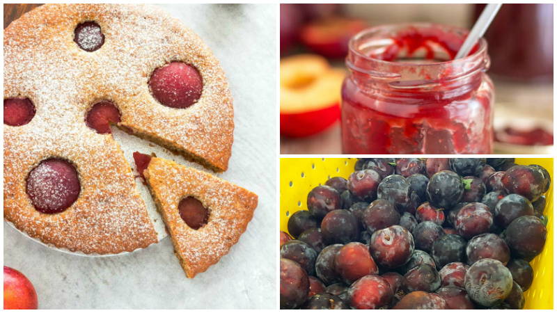 10 Recipes for Fresh, Seasonal Plums