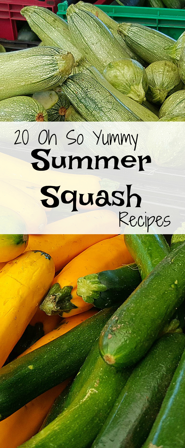 20 Oh So Yummy Summer Squash Recipes