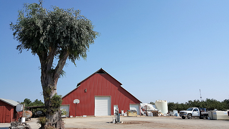 Walnut Farm