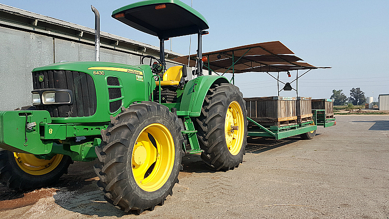 Sweet Potato Joe Farm Tour