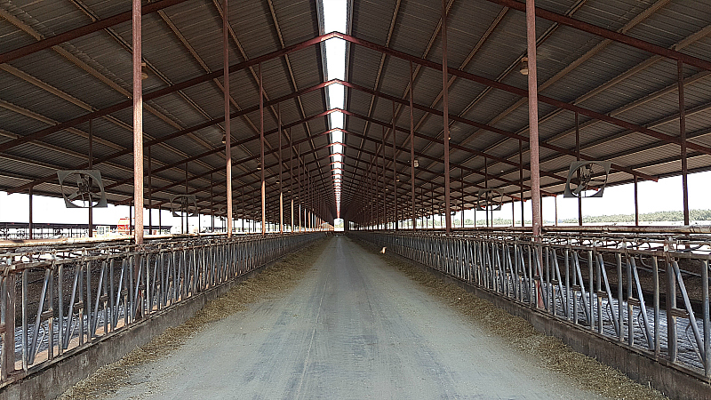 Charles Ahlem Ranch Dairy Farm