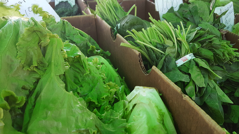 Lettuce and Spinach at the Santa Maria Certified Farmer's Market