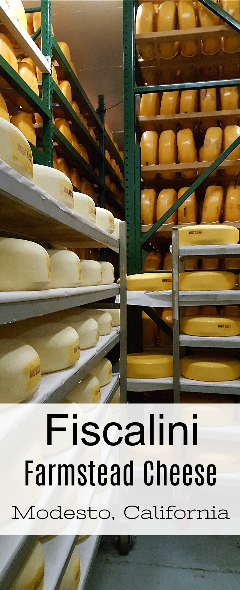 Fiscalini Farmstead Cheese Tour in Modesto, California