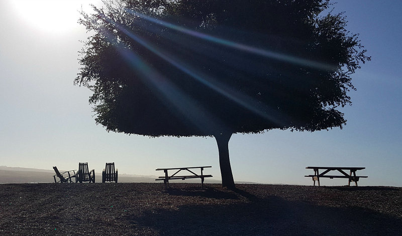 Cambria Winery & Vineyards in Santa Maria