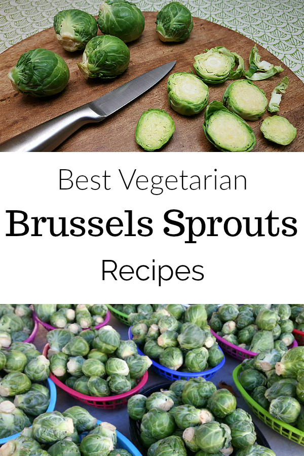 Best Vegetarian Brussels Sprouts Recipes - Food Blogger Recipe Round Up