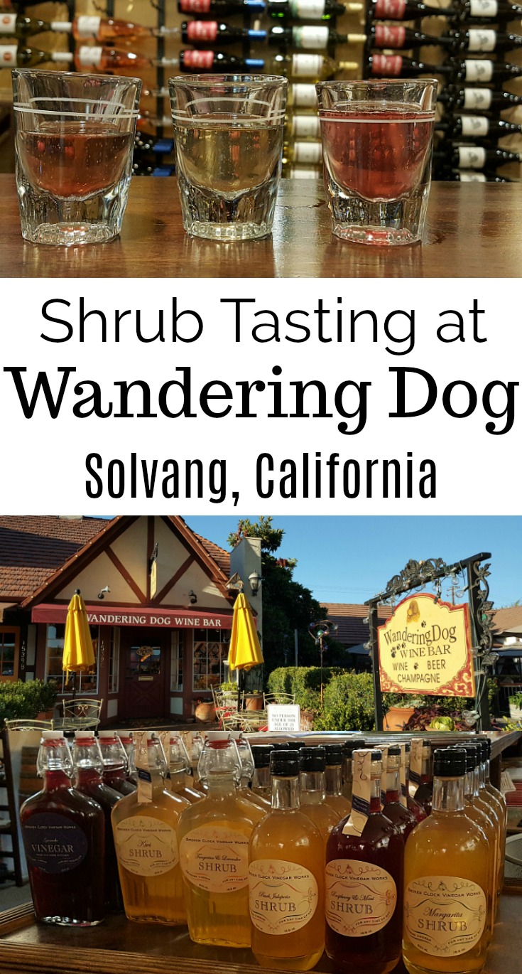 Shrub Tasting at Wandering Dog Wine Bar in Solvang, California