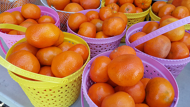 baskets of oranges california fruit
