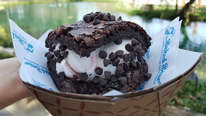 brownie cheesecake chips ice cream sandwich