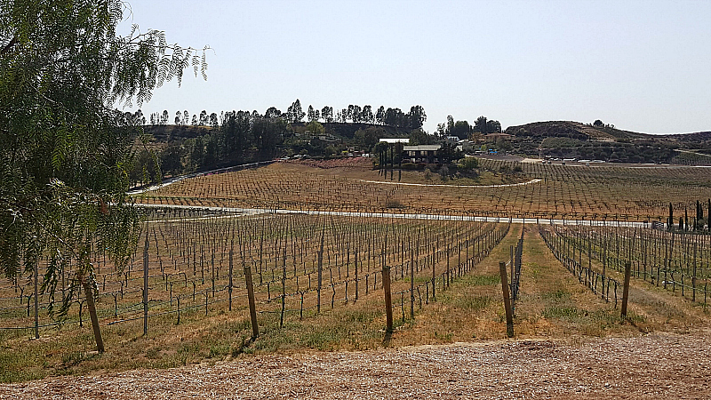 vineyards akash temecula