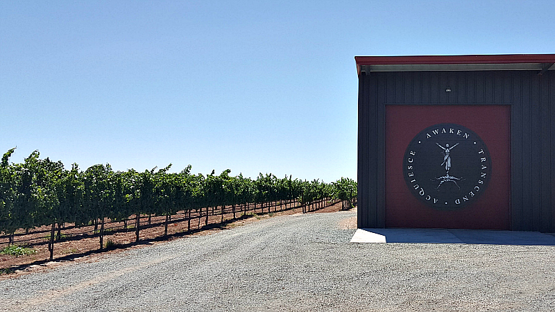 lodi acquiesce vineyard winery