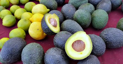 mdr farmers market avocados