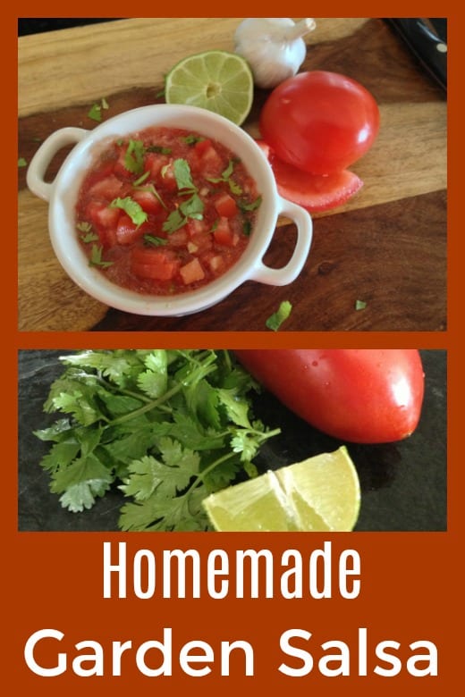 Homemade Garden Salsa Recipe #Salsa #SalsaRecipes #TomatoSalsa