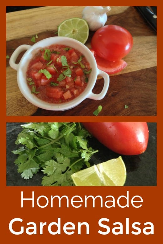 Homemade Garden Salsa Recipe #Salsa #SalsaRecipes #TomatoSalsa