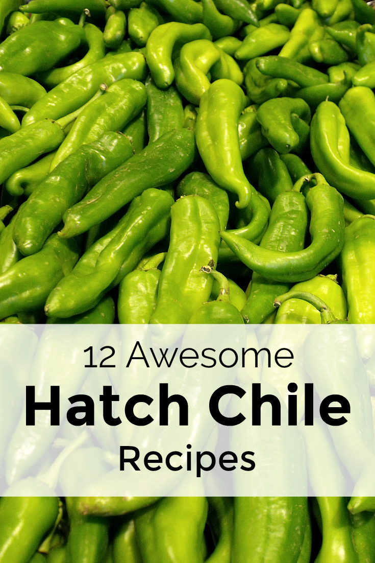 12 Awesome Hatch Chile Recipes - Recipe Round Up