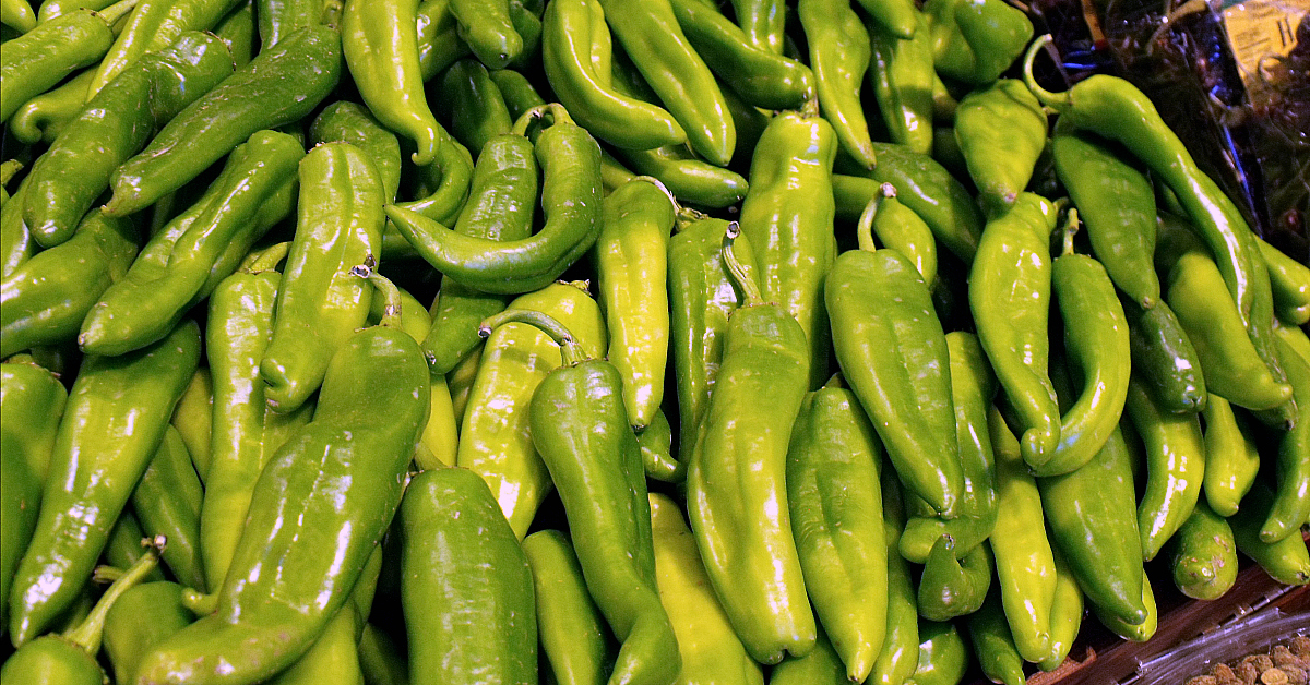 pile of hatch chiles