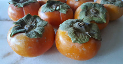 feature persimmons