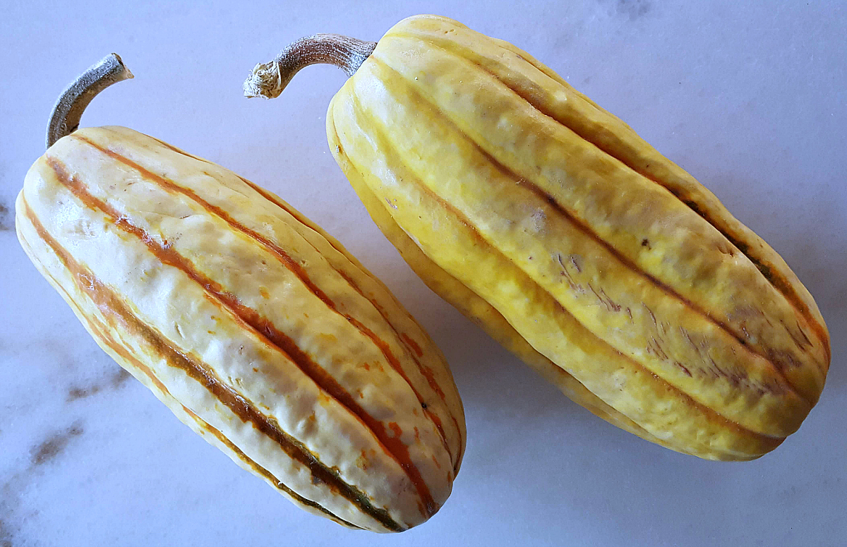 2 delicata squash