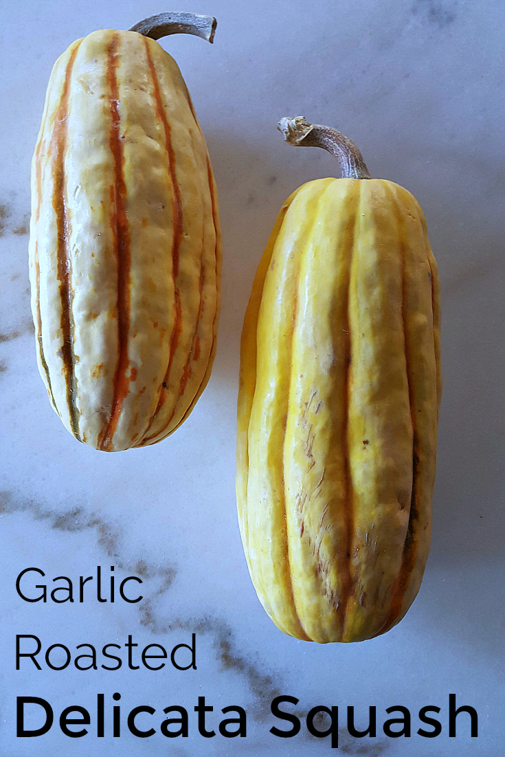 Garlic Roasted Delicata Squash Recipe - Oven roasted Winter squash