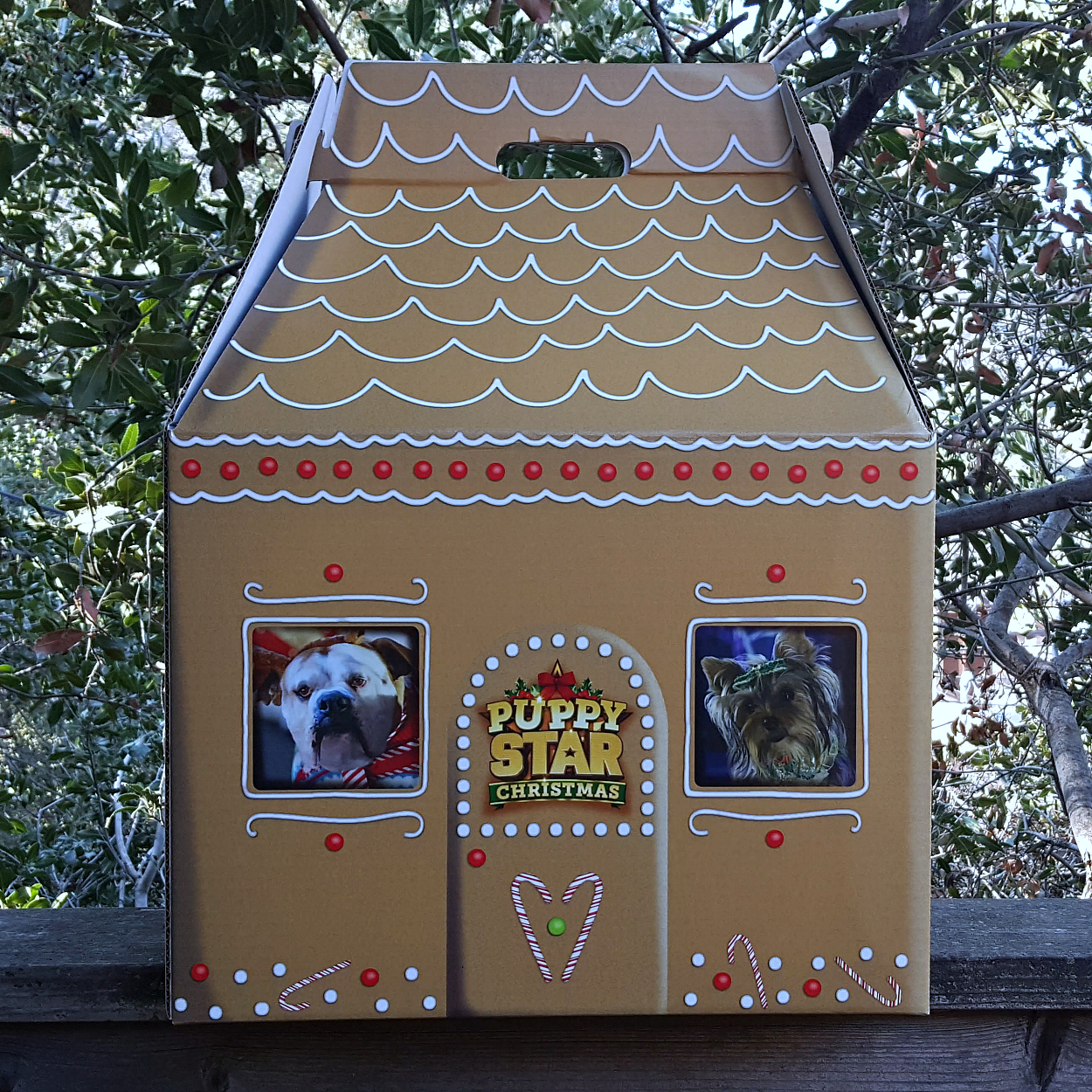 puppy star christmas box