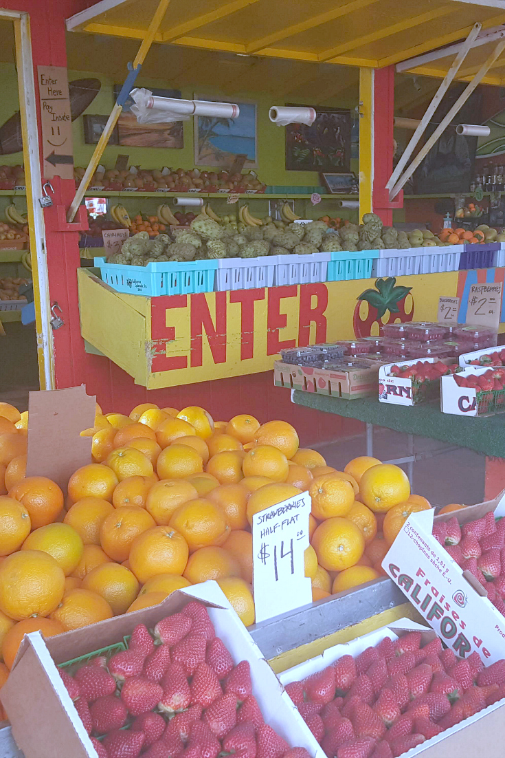 Best Ventura Farm Stand for Fruit, Vegetables and Fresh Cut Flowers - Santiago's Fruit Stand on Olivas Park near the Ventura Harbor