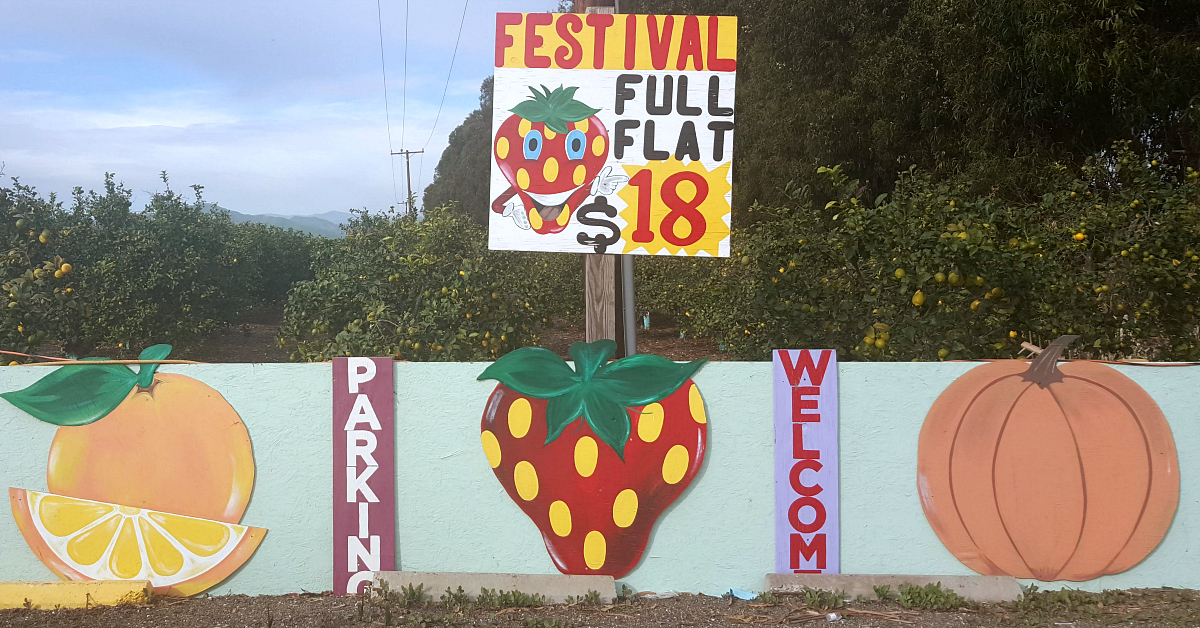 santiagos fruit stand signs