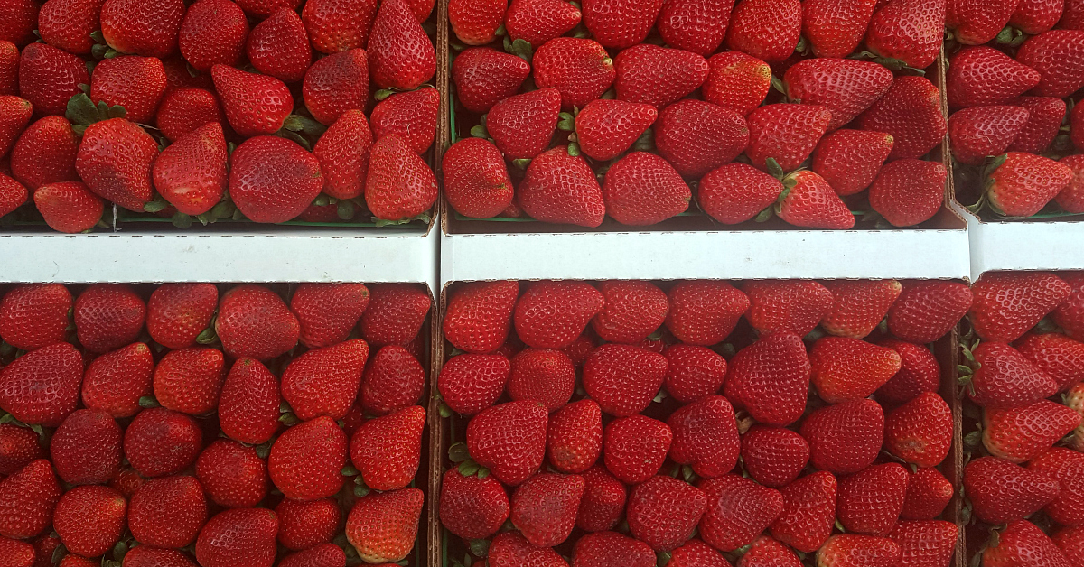 santiagos fruit stand strawberries