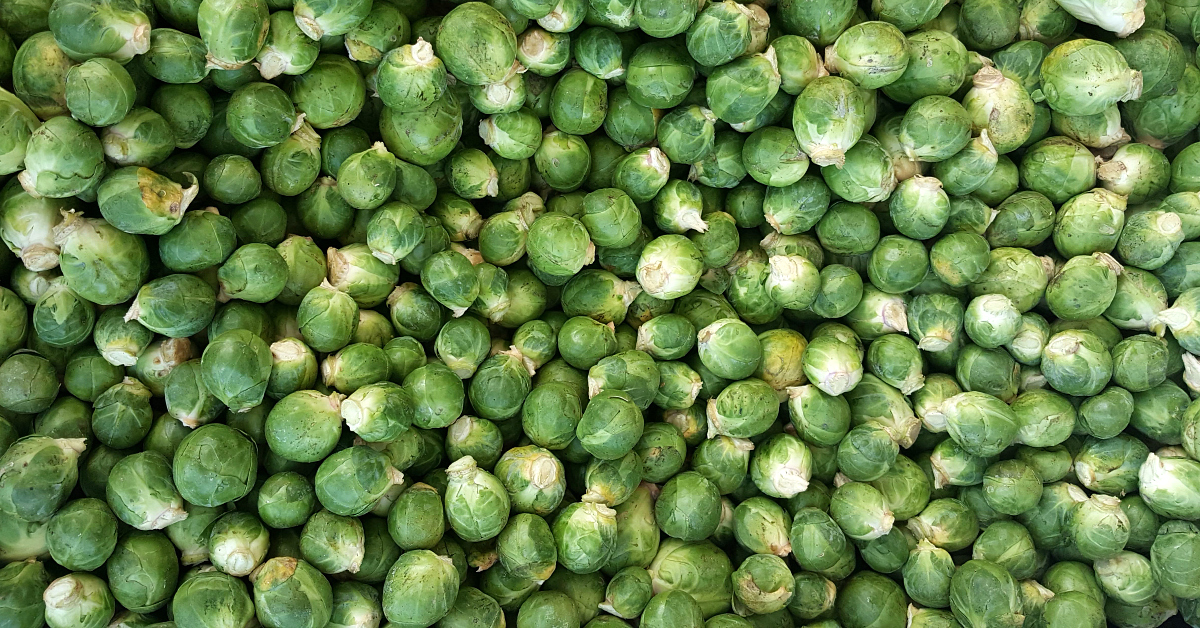 solvang farmers market brussels sprouts