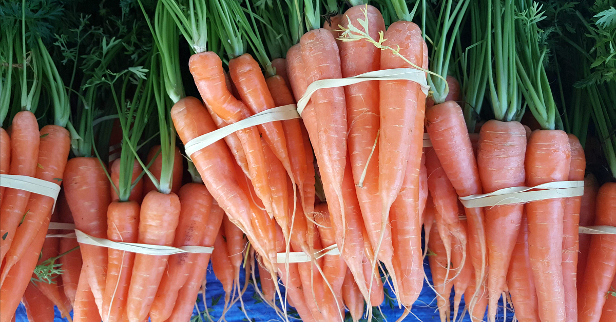 solvang farmers market carrots