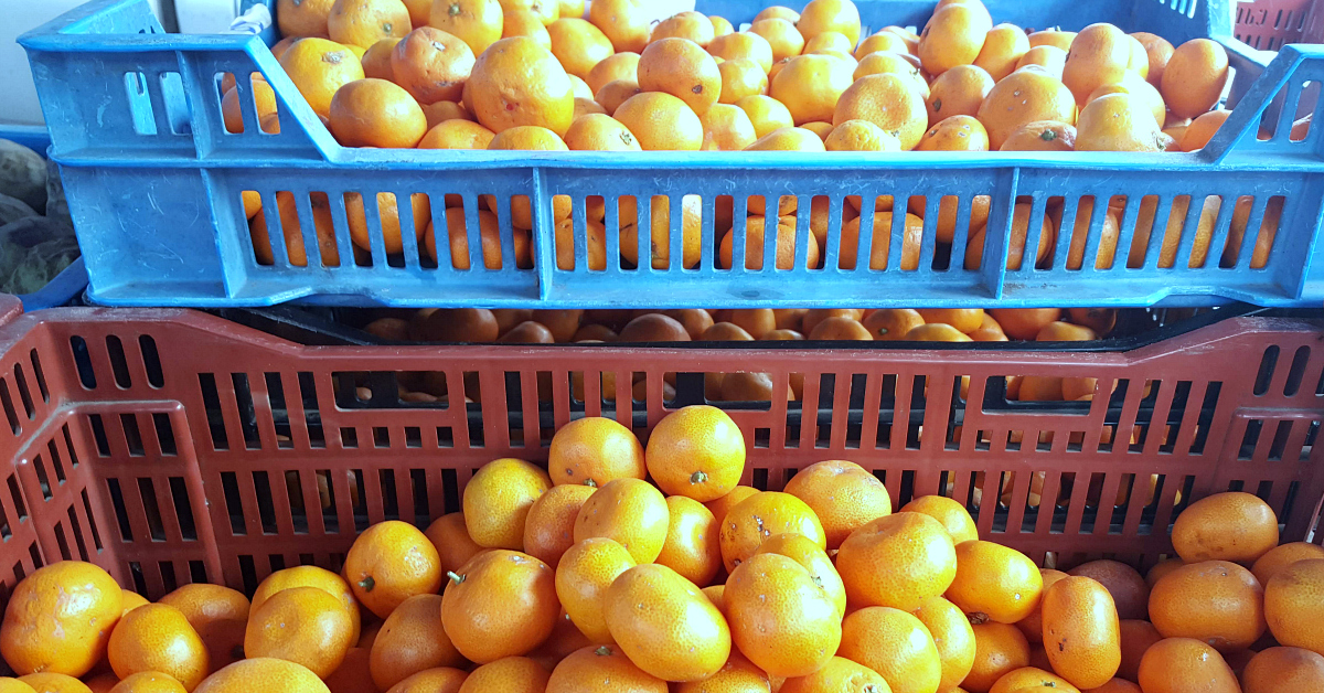 solvang farmers market citrus