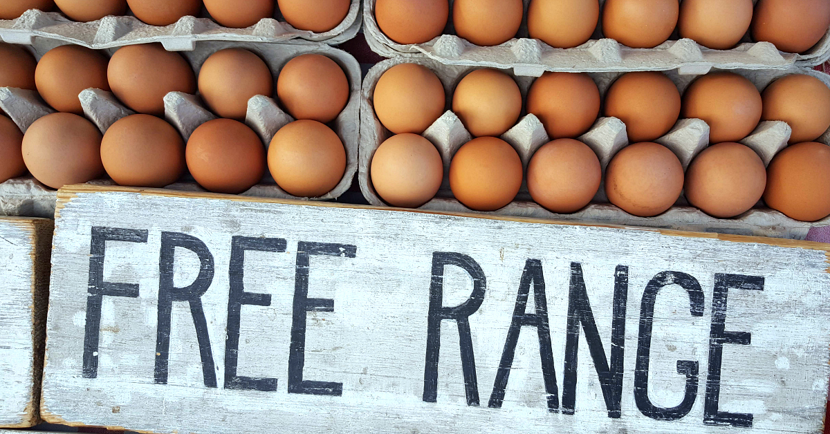 solvang farmers market eggs