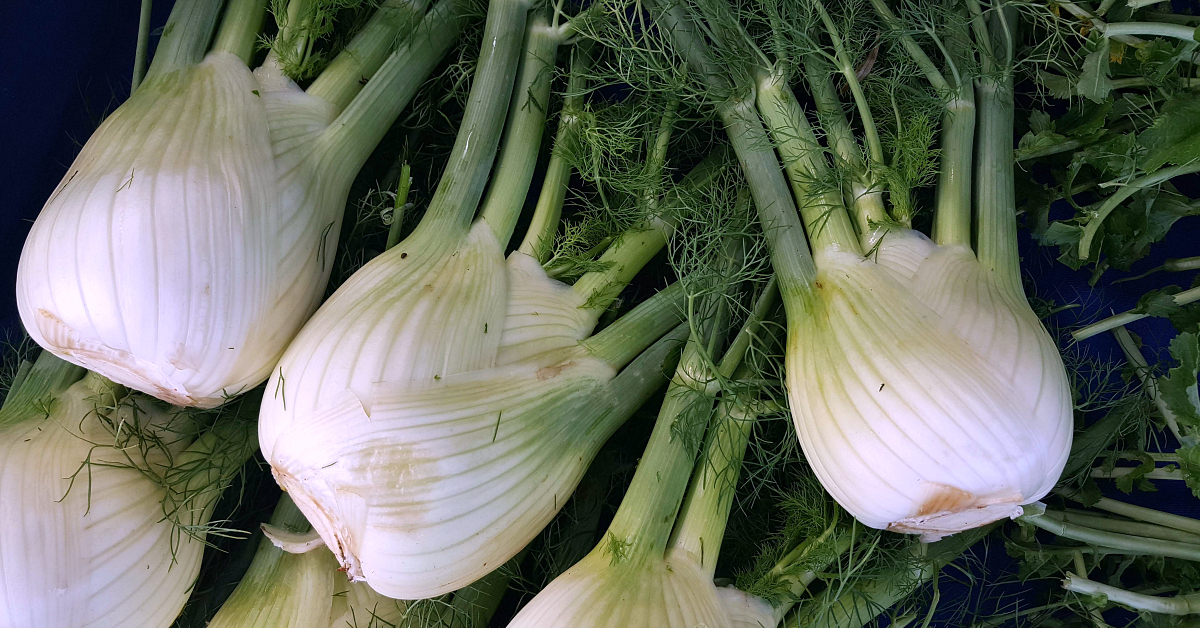 solvang farmers market fennel