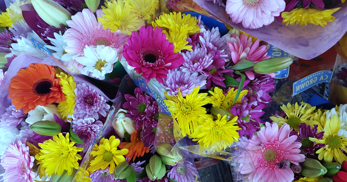 solvang farmers market flowers