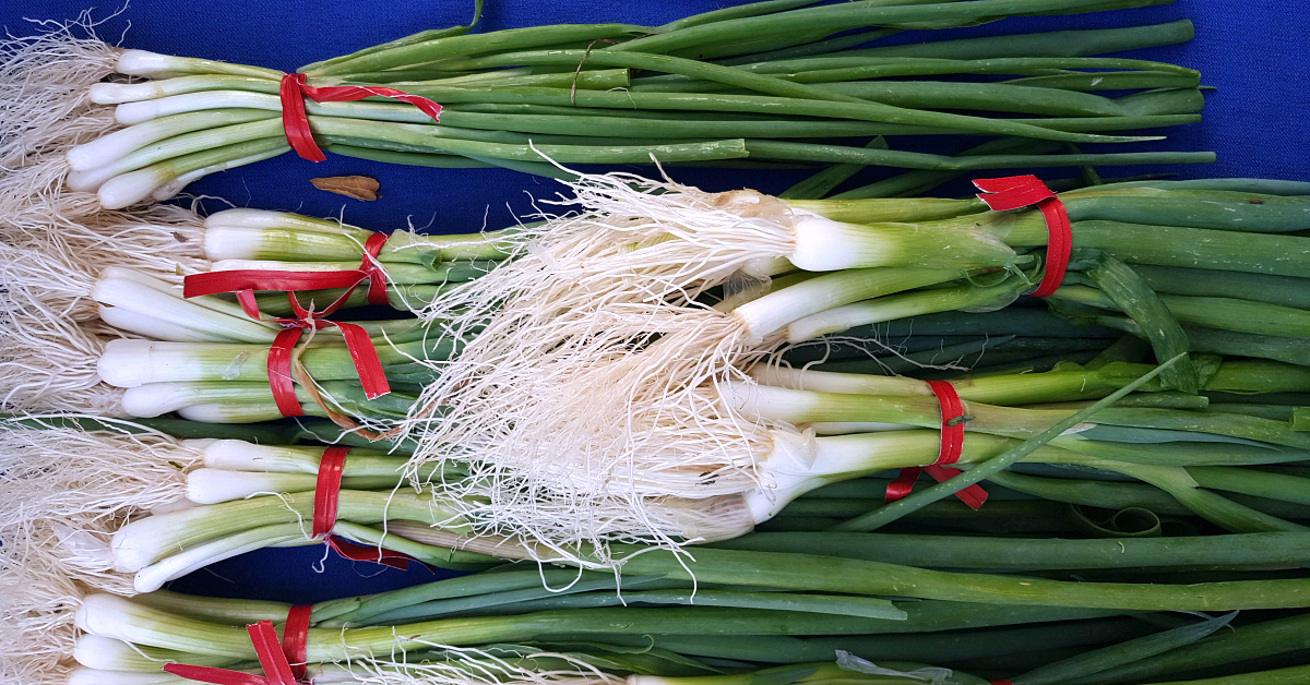 solvang farmers market green onions