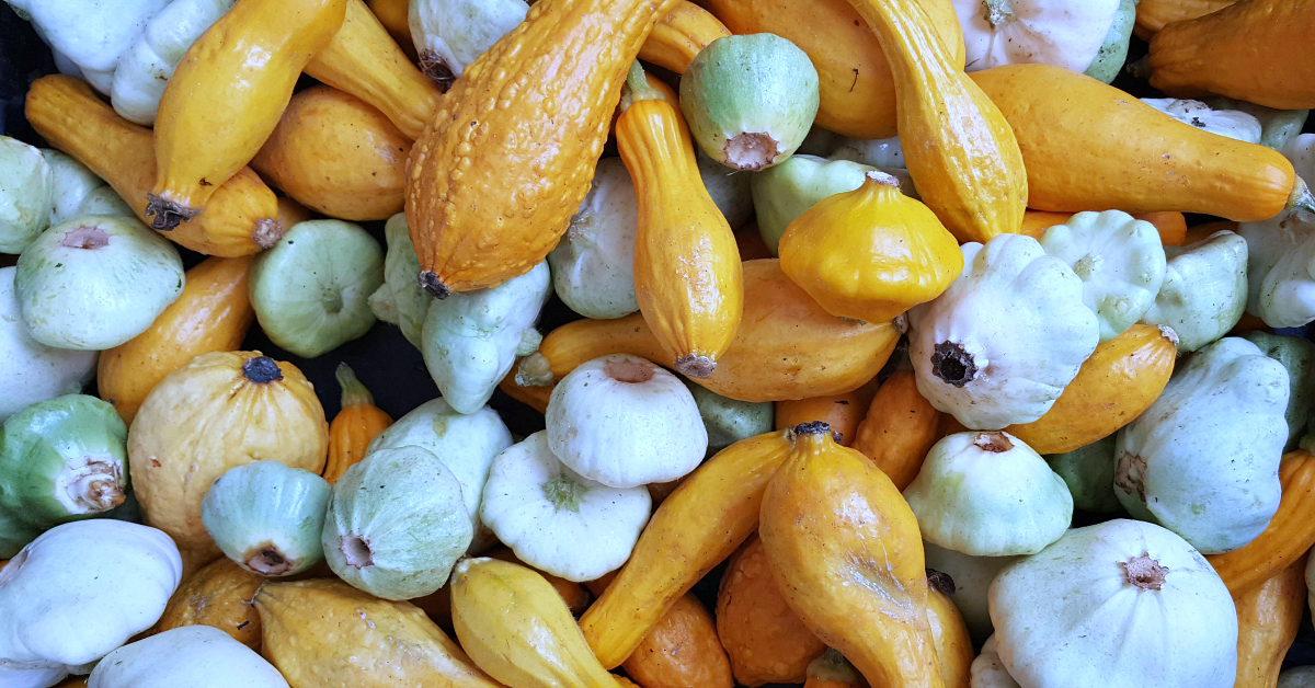 solvang farmers market squash