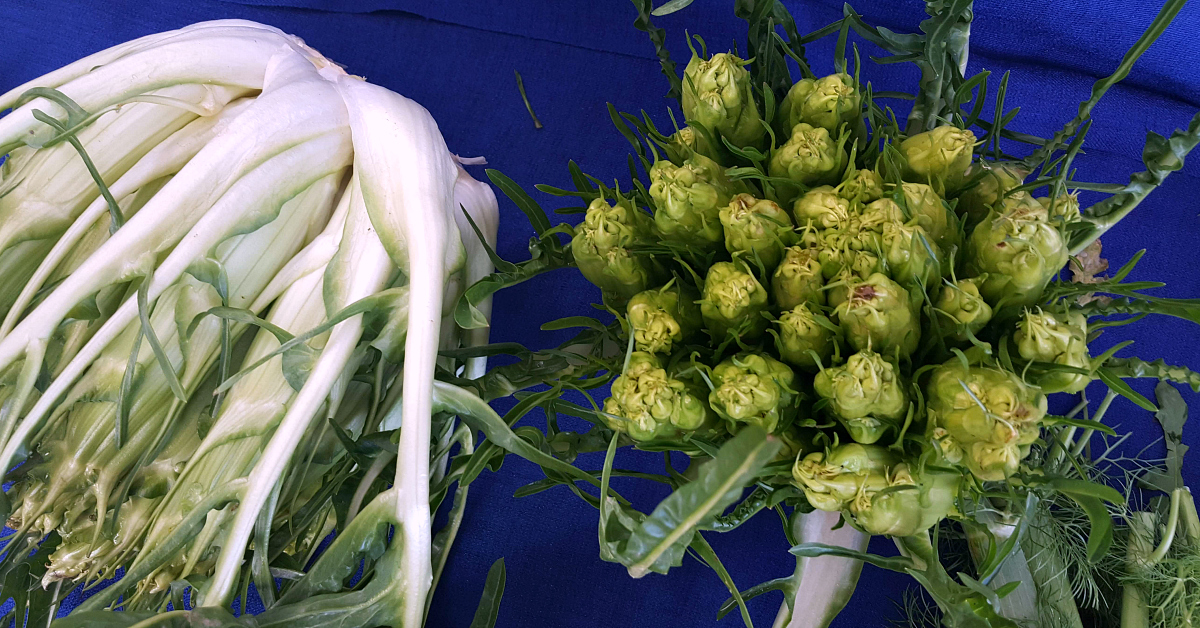 solvang farmers market sunchoke