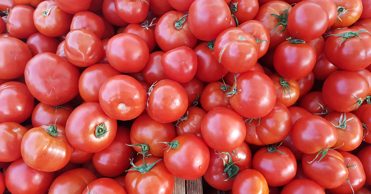 solvang farmers market tomatoes