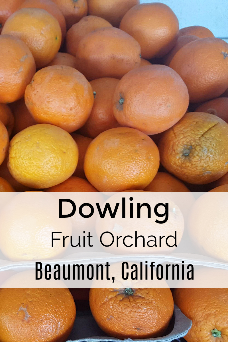 Dowling Fruit Orchard - Beaumont Farm Stand on Highway 60 in the Southern California Desert