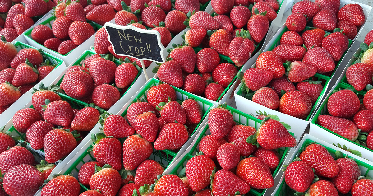fresh strawberries at california farmers market