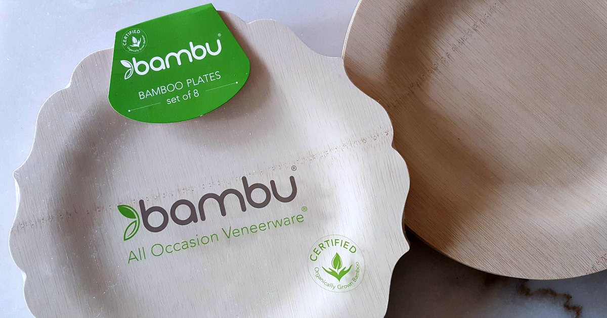 set of bambu picnic plates