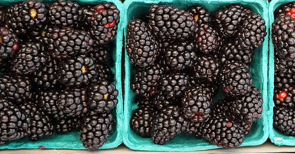 fresh picked blackberries at the market